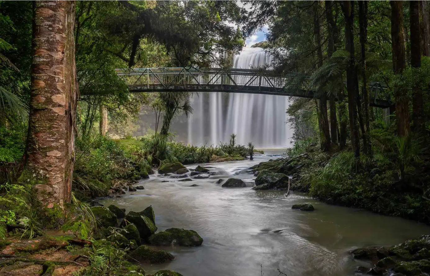 Whangārei Waterfall